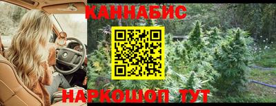 сатива Конаково