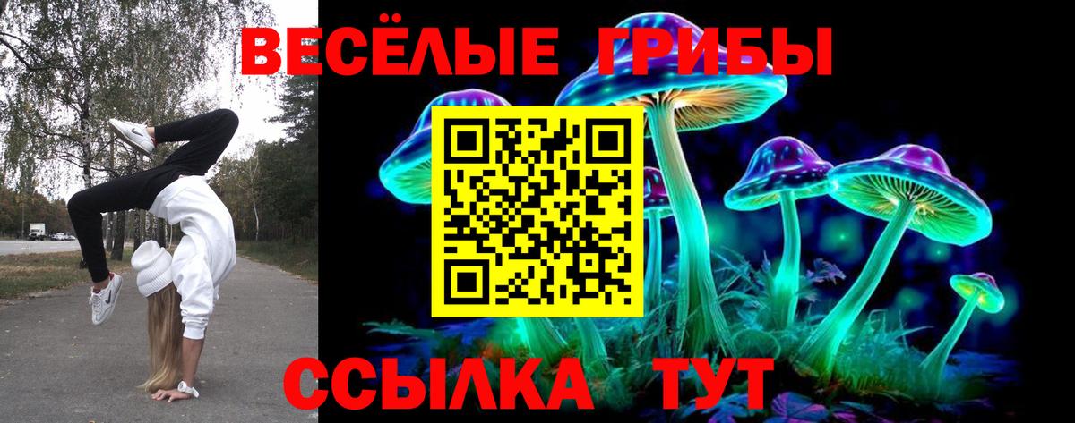 Галлюциногенные грибы MAGIC MUSHROOMS  Вход с VPN  Красный Сулин 